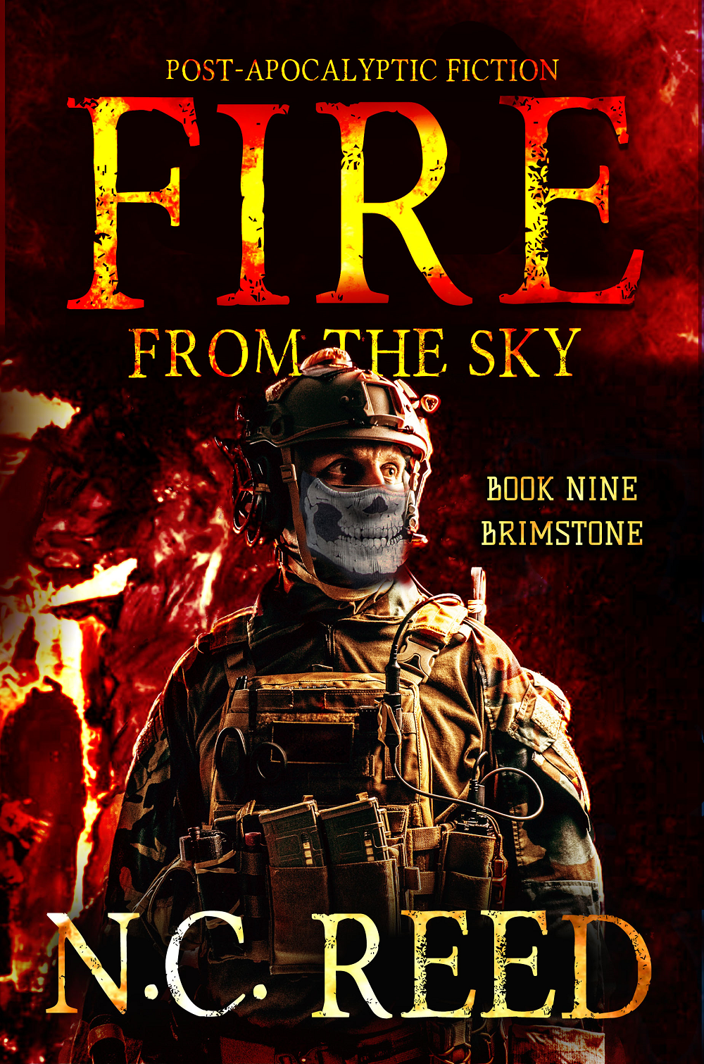 Fire From the Sky by author N.C. Reed Book nine Brimstone Book Cover